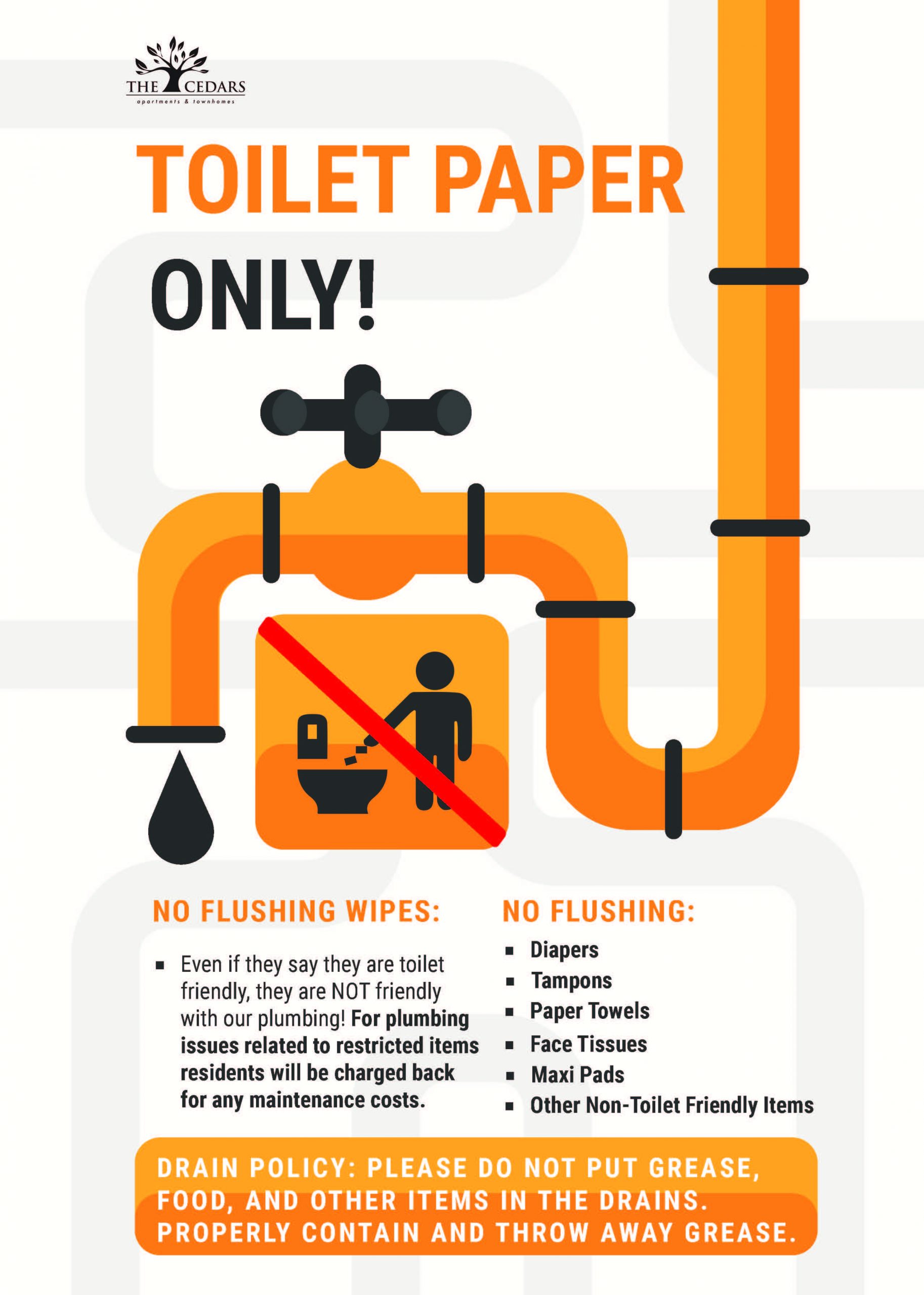 Plumbing Service Flyer copy (1)